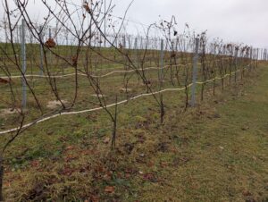 PXL_20251206_084228645